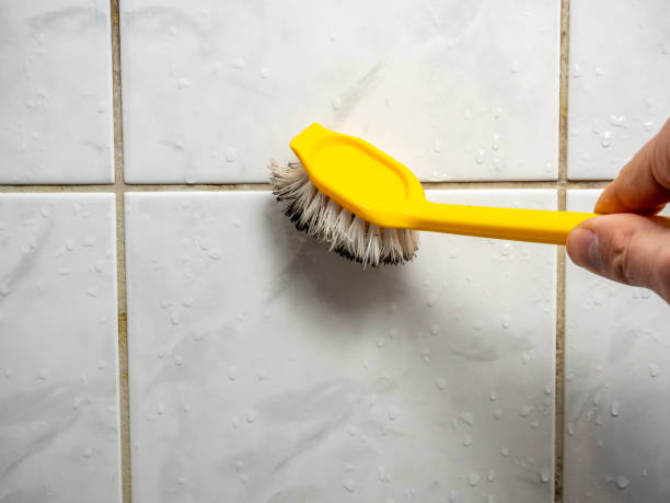 Mold Removal and Inspection in Woodville, CA