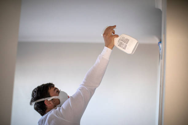 Best Mold Damage Repair  in Woodville, CA