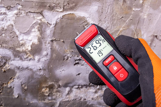 Best Office Mold Removal Services  in Woodville, CA