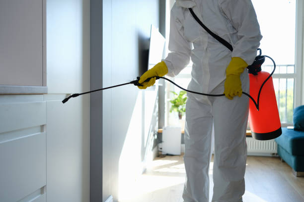 Best Mold Inspection  in Woodville, CA
