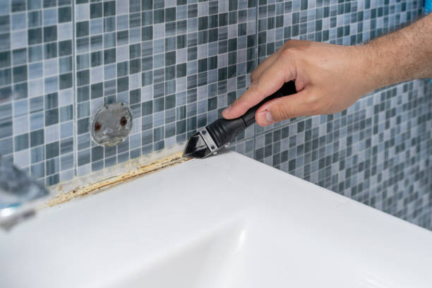Best Local Mold Removal Service  in Woodville, CA