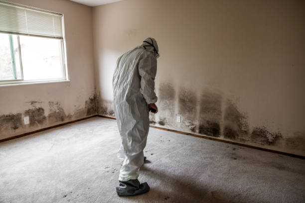 Best Crawl Space Mold Removal  in Woodville, CA
